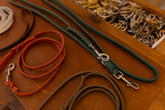 Dreifach verstellbare Leine - 2,80m bis 3,80m