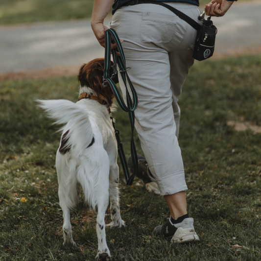 Mini-Online-Kurs "Zusammen wachsen - Dein Weg zum kooperativen Miteinander"